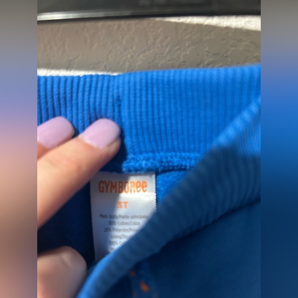 Gymboree Boys Colorblock Fleece Jogger Pants - Dino Friends - Picture 6 of 7